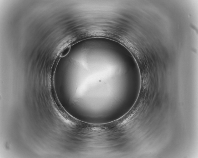 X0000094370390200711021534