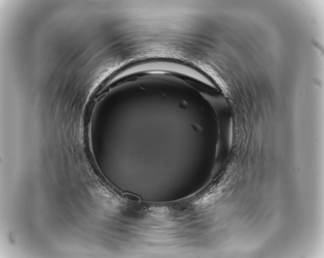 X0000094370391200711021534