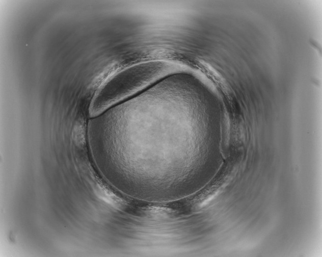 X0000094370393200711021534