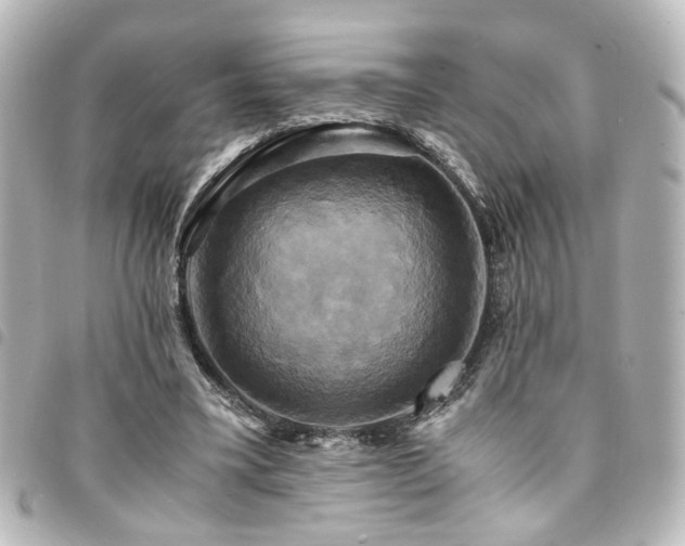 X0000094370395200711021534