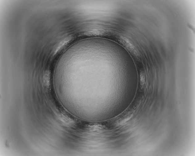 X0000094370396200711021534