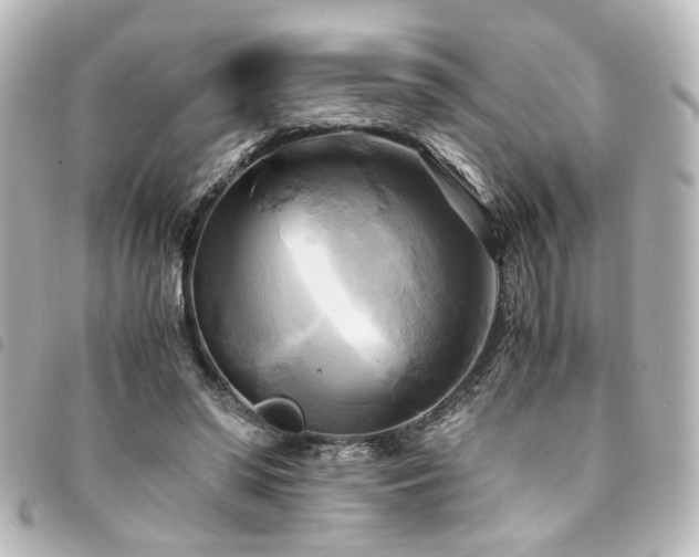 X0000094370398200711021534