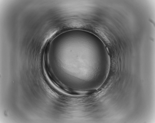 X0000094370399200711021534