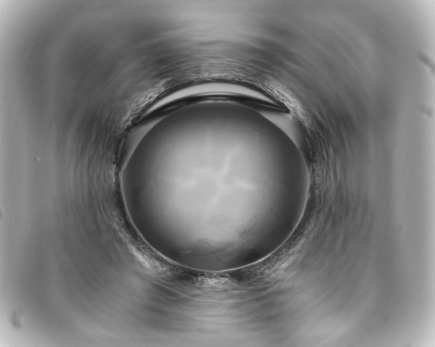 X0000094370401200711021534