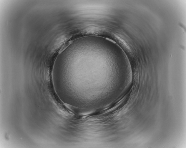 X0000094370403200711021534