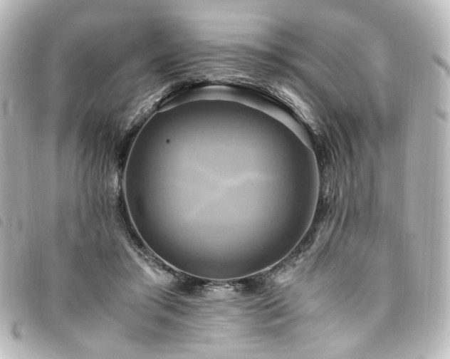 X0000094370405200711021534
