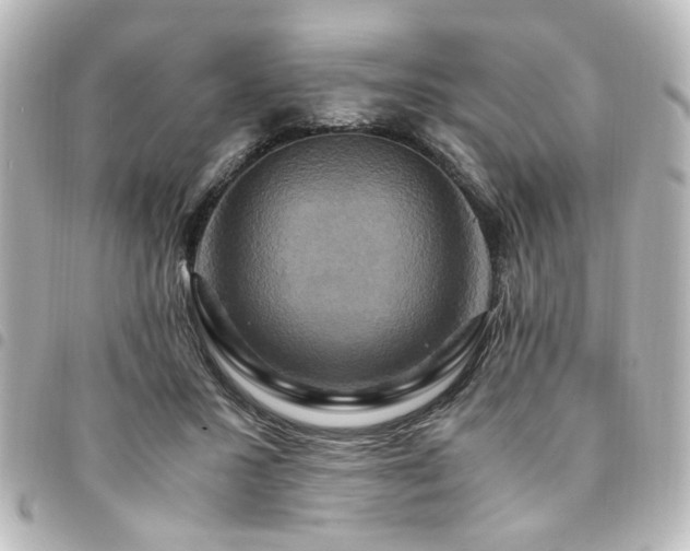 X0000094370407200711021533