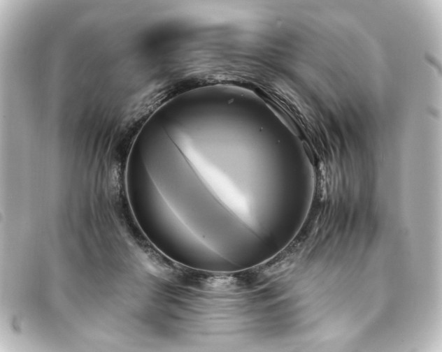 X0000094370410200711021533