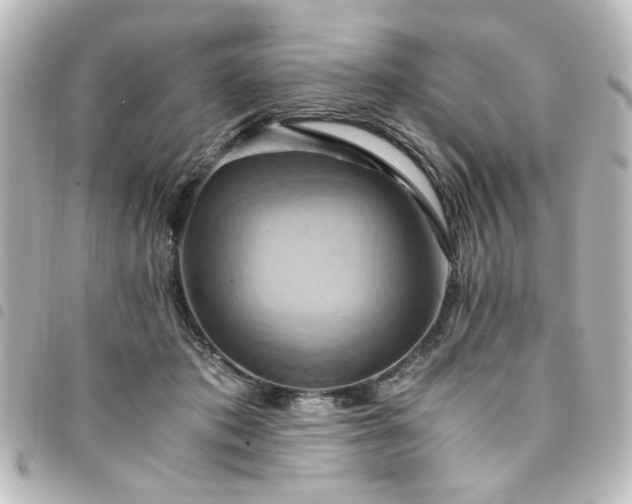 X0000094370413200711021533