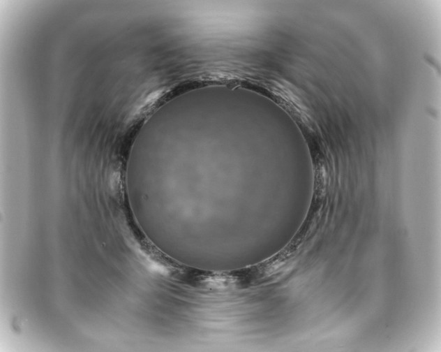 X0000094370415200711021533