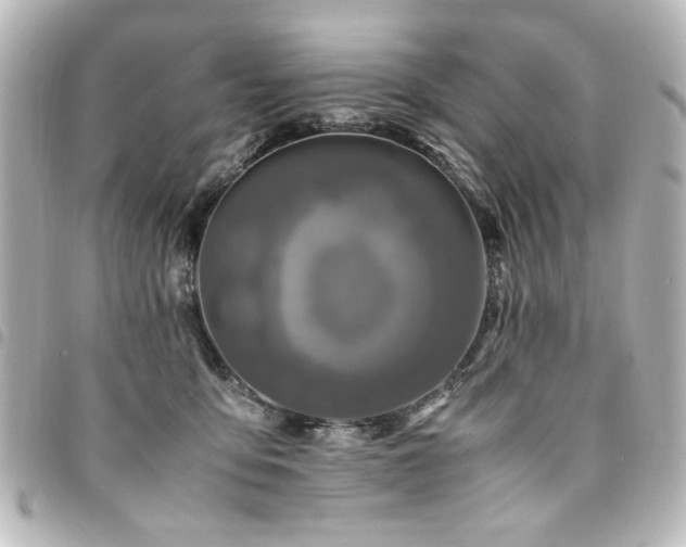 X0000094370419200711021533