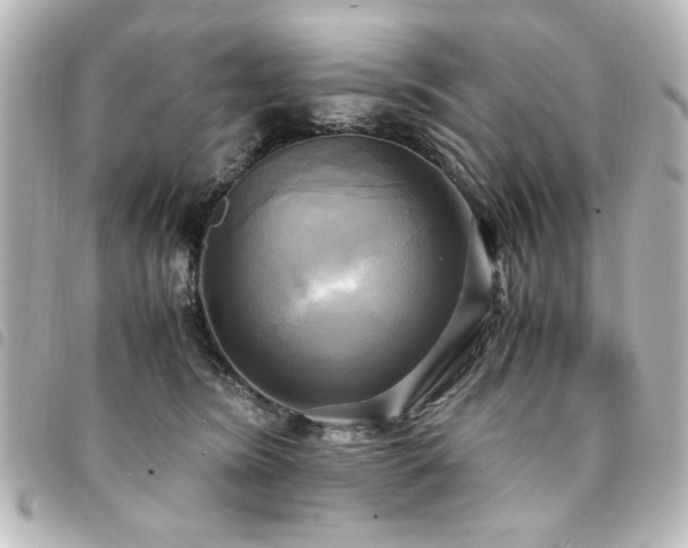 X0000094370420200711021533
