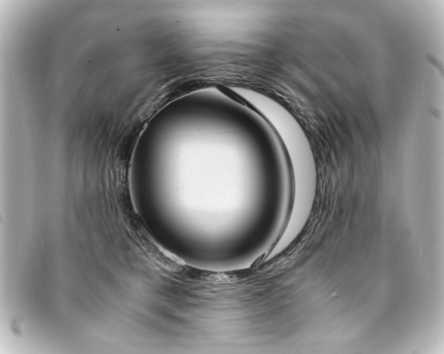 X0000094370421200711021533