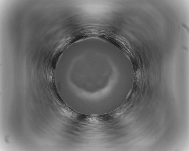 X0000094370423200711021533
