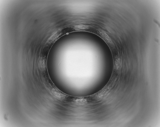X0000094370426200711021533