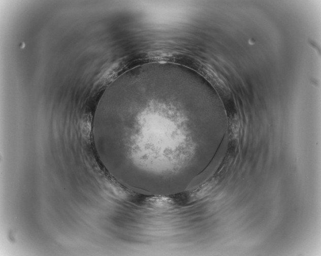 X0000094370427200711021533