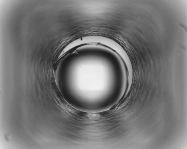 X0000094370429200711021533