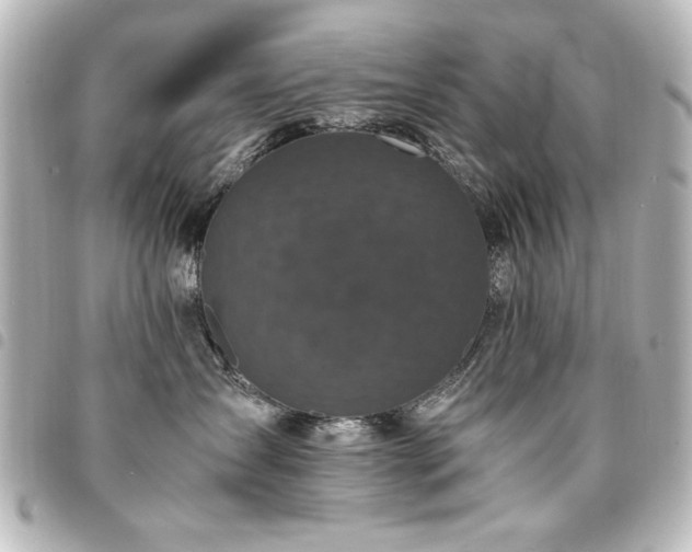X0000094370431200711021533