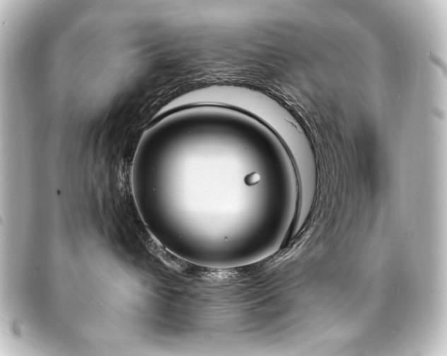 X0000094370432200711021533