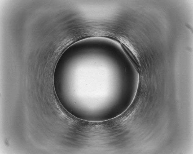 X0000094370433200711021533