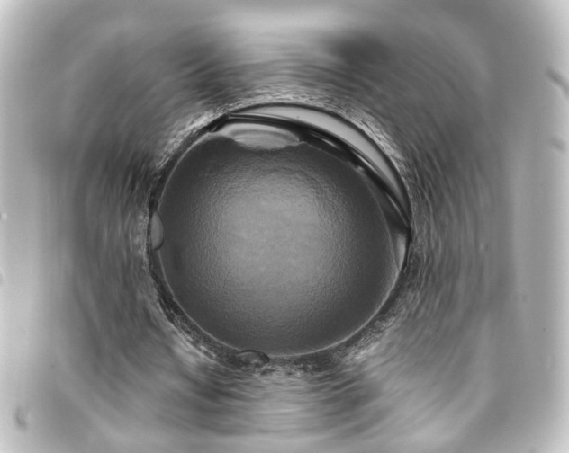 X0000094370434200711021533