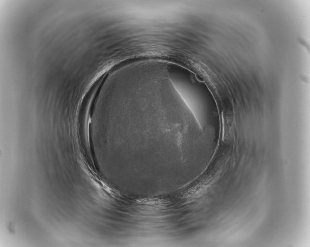 X0000094370435200711021533