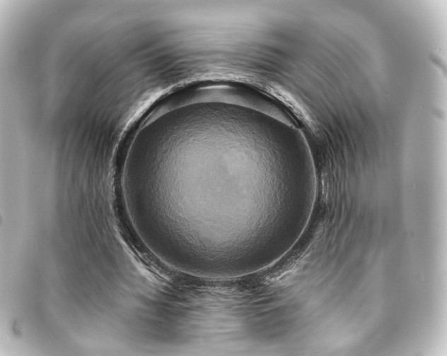 X0000094370436200711021533