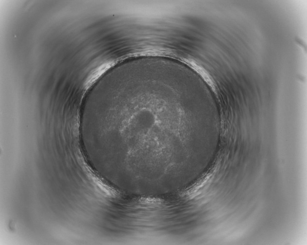X0000094370437200711021533