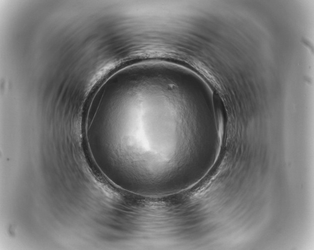 X0000094370438200711021533