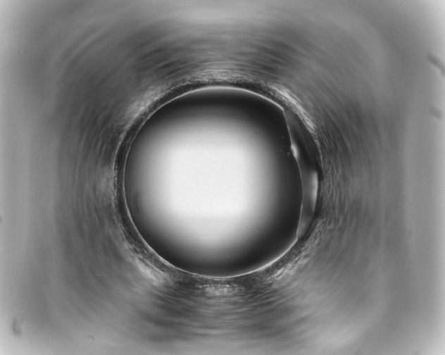 X0000094370439200711021533