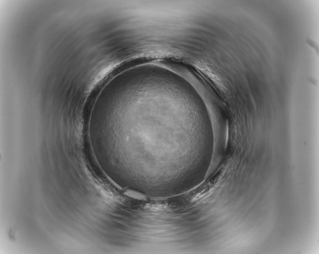 X0000094370440200711021533