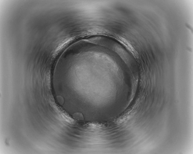 X0000094370442200711021533