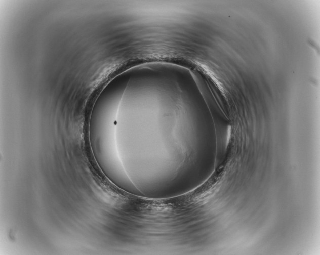 X0000094370443200711021533