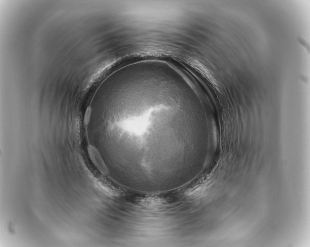 X0000094370444200711021533