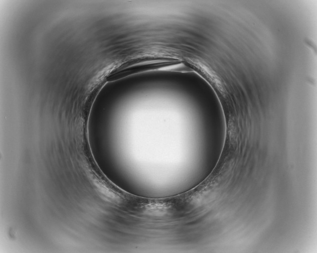 X0000094370445200711021533