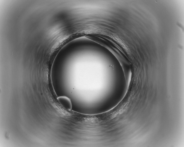 X0000094370446200711021533