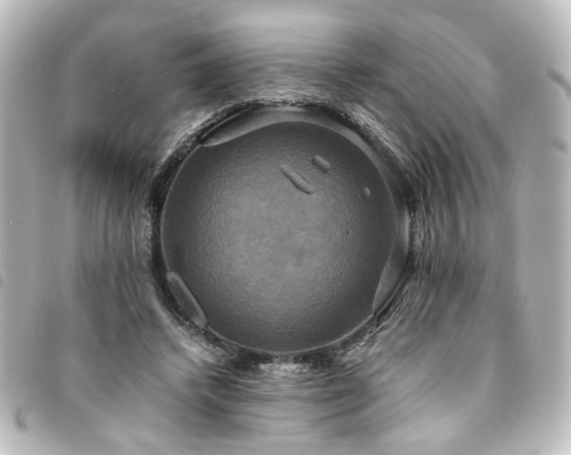 X0000094370448200711021533