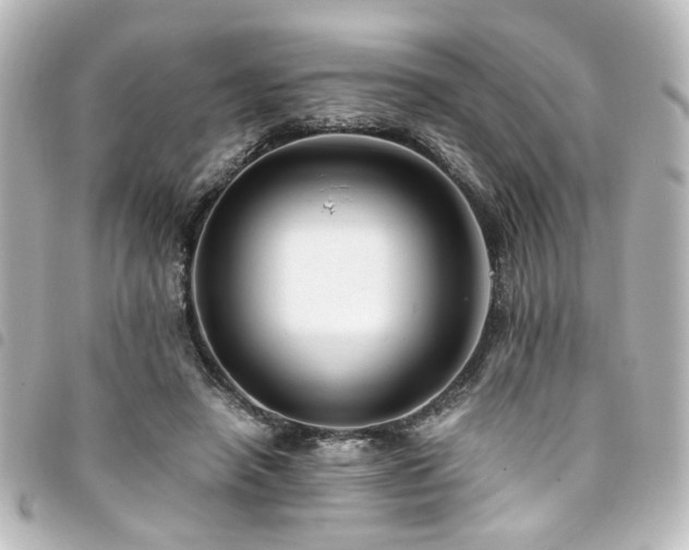 X0000094370450200711021533