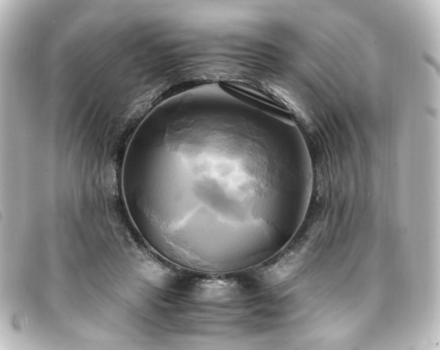 X0000094370453200711021533