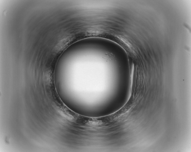 X0000094370455200711021533