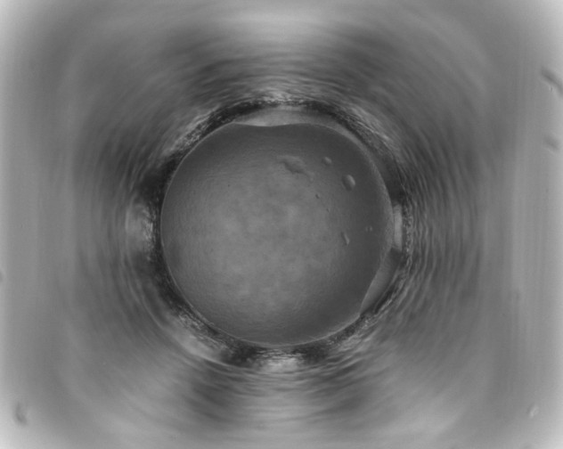 X0000094370456200711021533