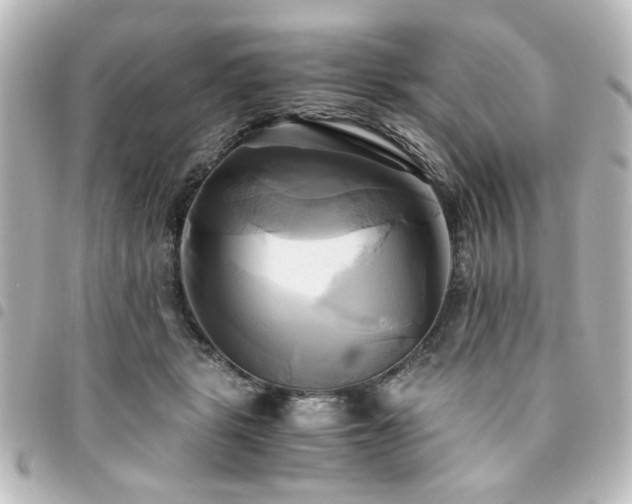 X0000094370461200711021533