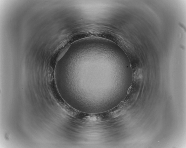 X0000094370464200711021533