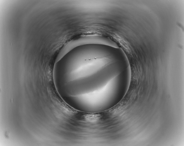 X0000094370465200711021533