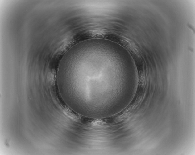 X0000094370468200711021533