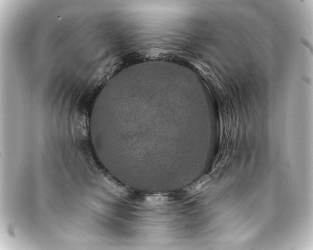 X0000094370470200711021533