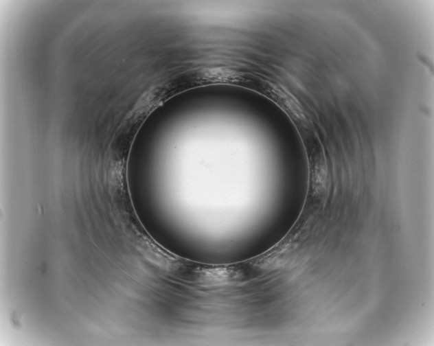X0000094370473200711021533