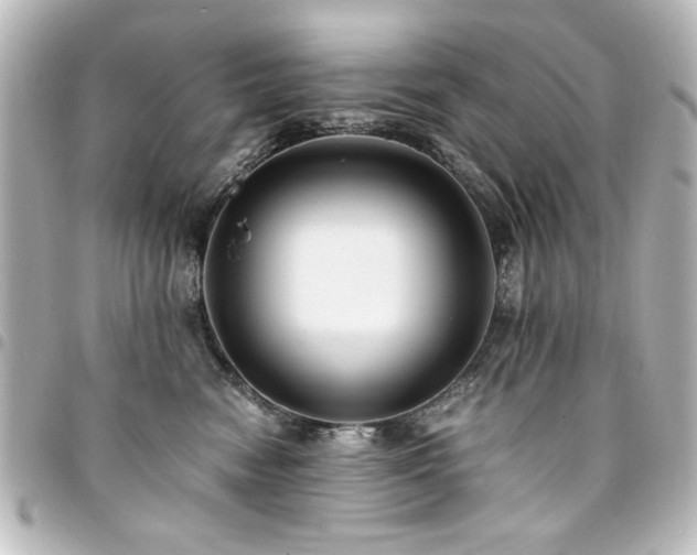 X0000094370474200711021533