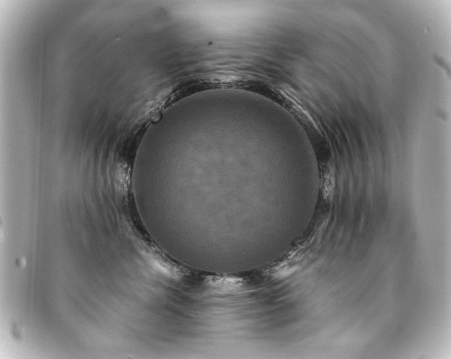 X0000094370476200711021533