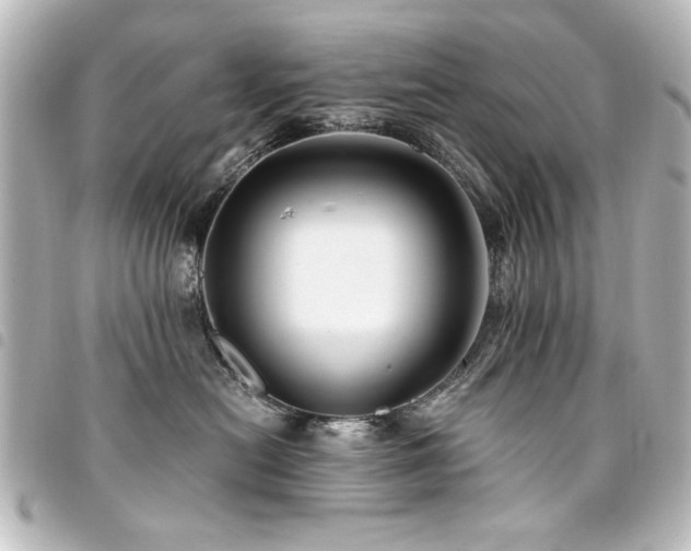 X0000094370478200711021533